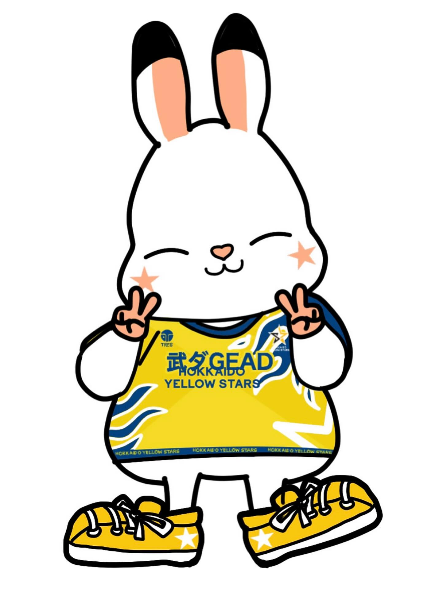 北海道イエロースターズ