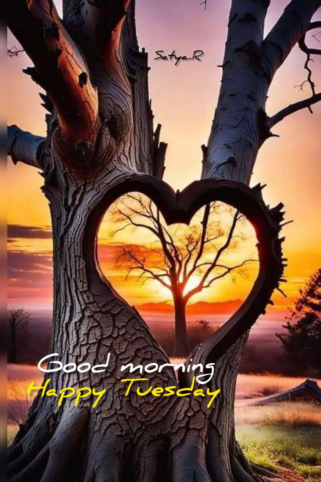 Hello friends good morning 🌞❤️🌹