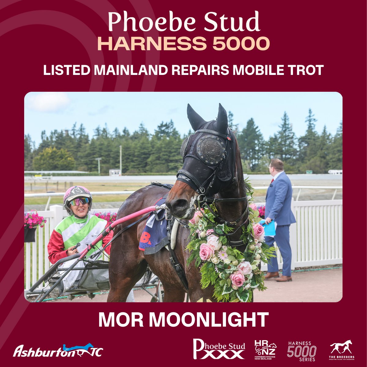 Phoebe Harness 5000 Race... - Harness Racing New Zealand | Facebook