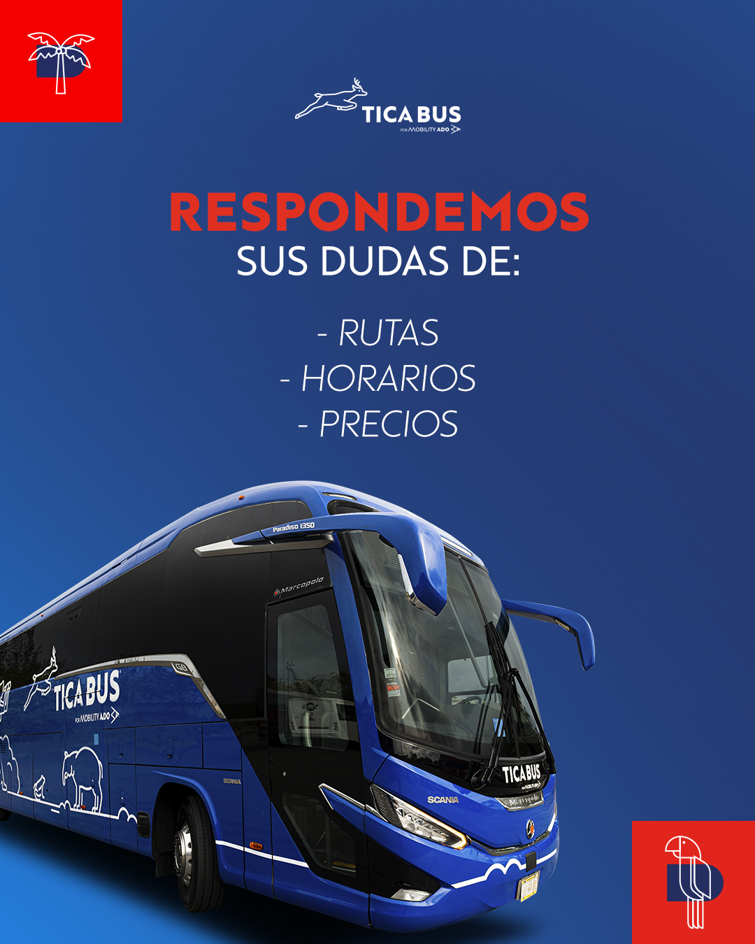 Tica Bus - 💙Escriba sus dudas y se las respondemos para... | Facebook