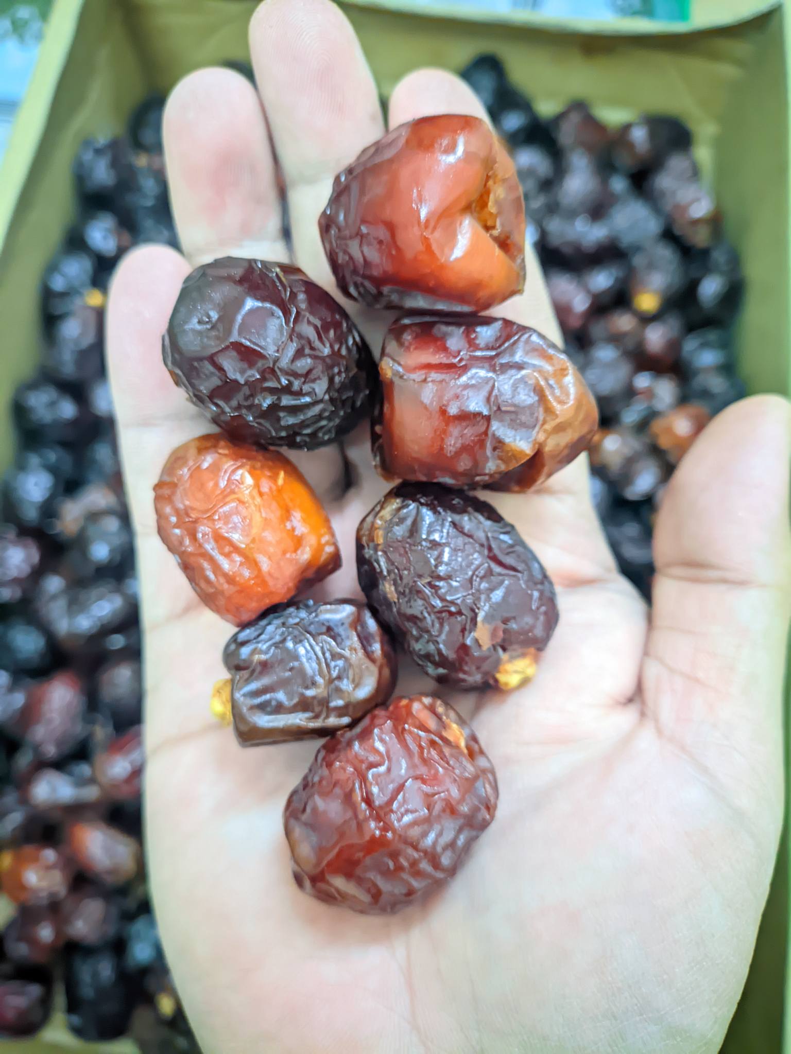 نخلة -খেজুর | Mymensingh