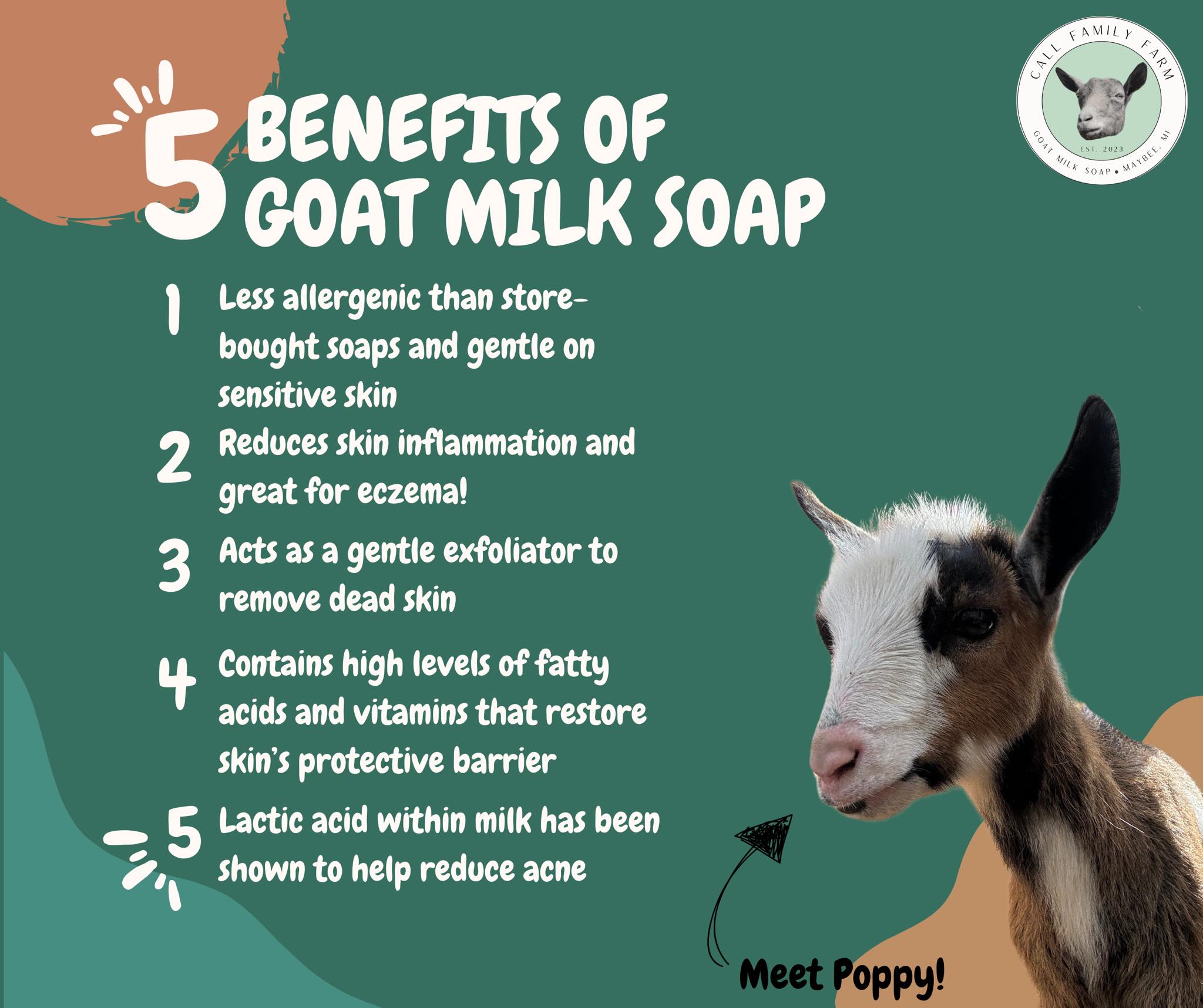 glutathione goat milk soap side effects Locally produced goats 🐐 Helps dry skin, eczema and psoriasis. Highly moisturising and and promotes a youthful complexion ✨ @claddach_farm #localbusiness #goatsmilk #deeside #visitabdn @ Buchanan Bistro C-SeniorSupport