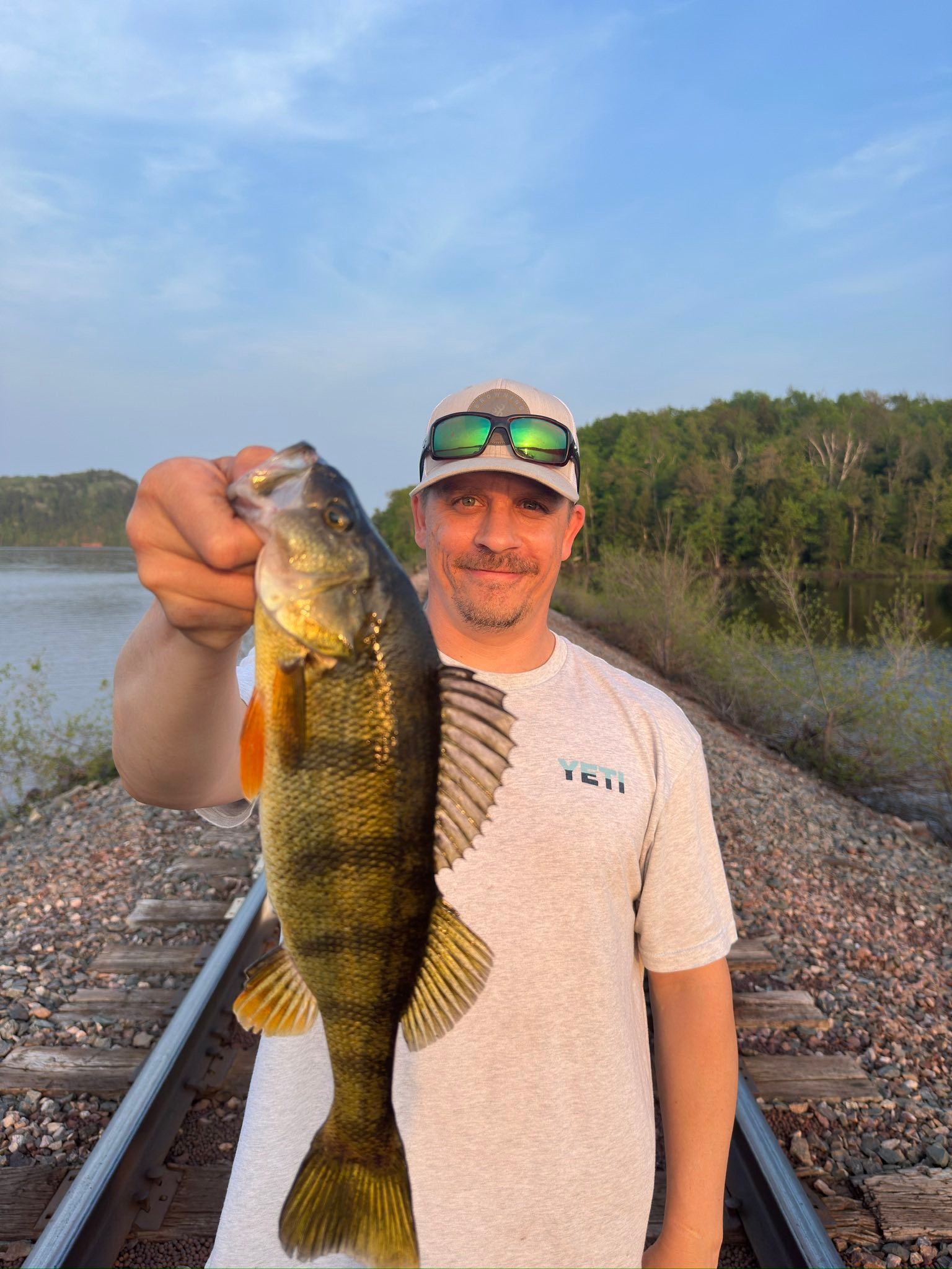 Few perch we caught. | Facebook