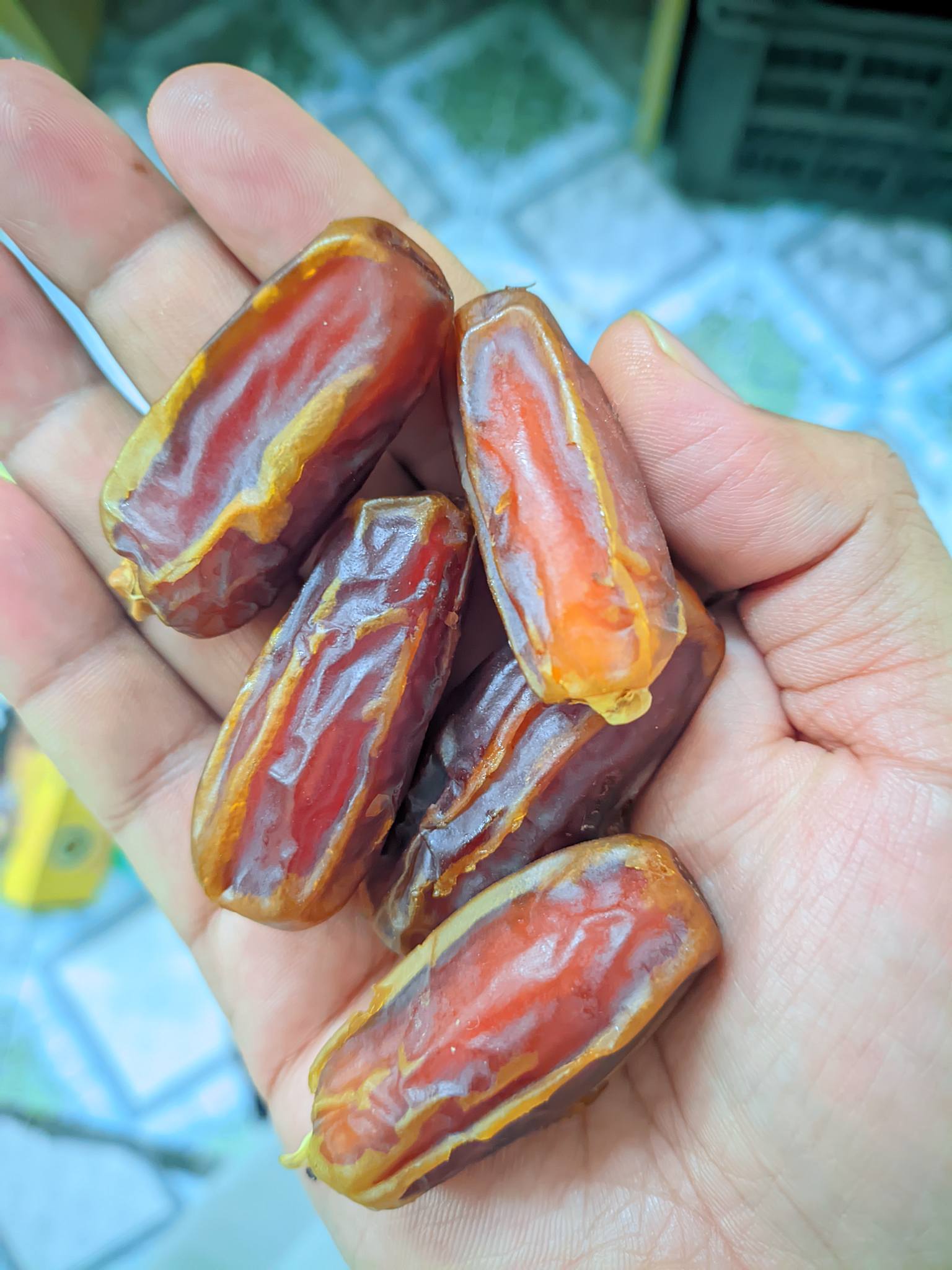 نخلة -খেজুর | Mymensingh