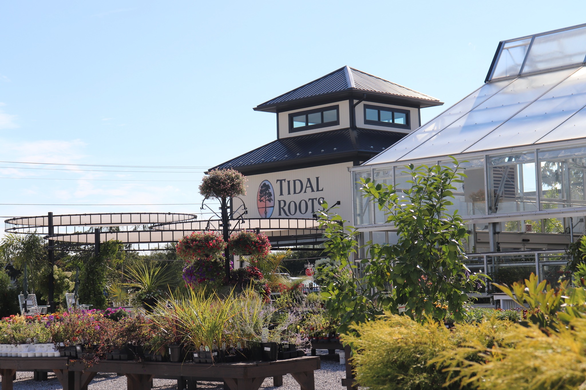 Tidal Roots | Hebron MD