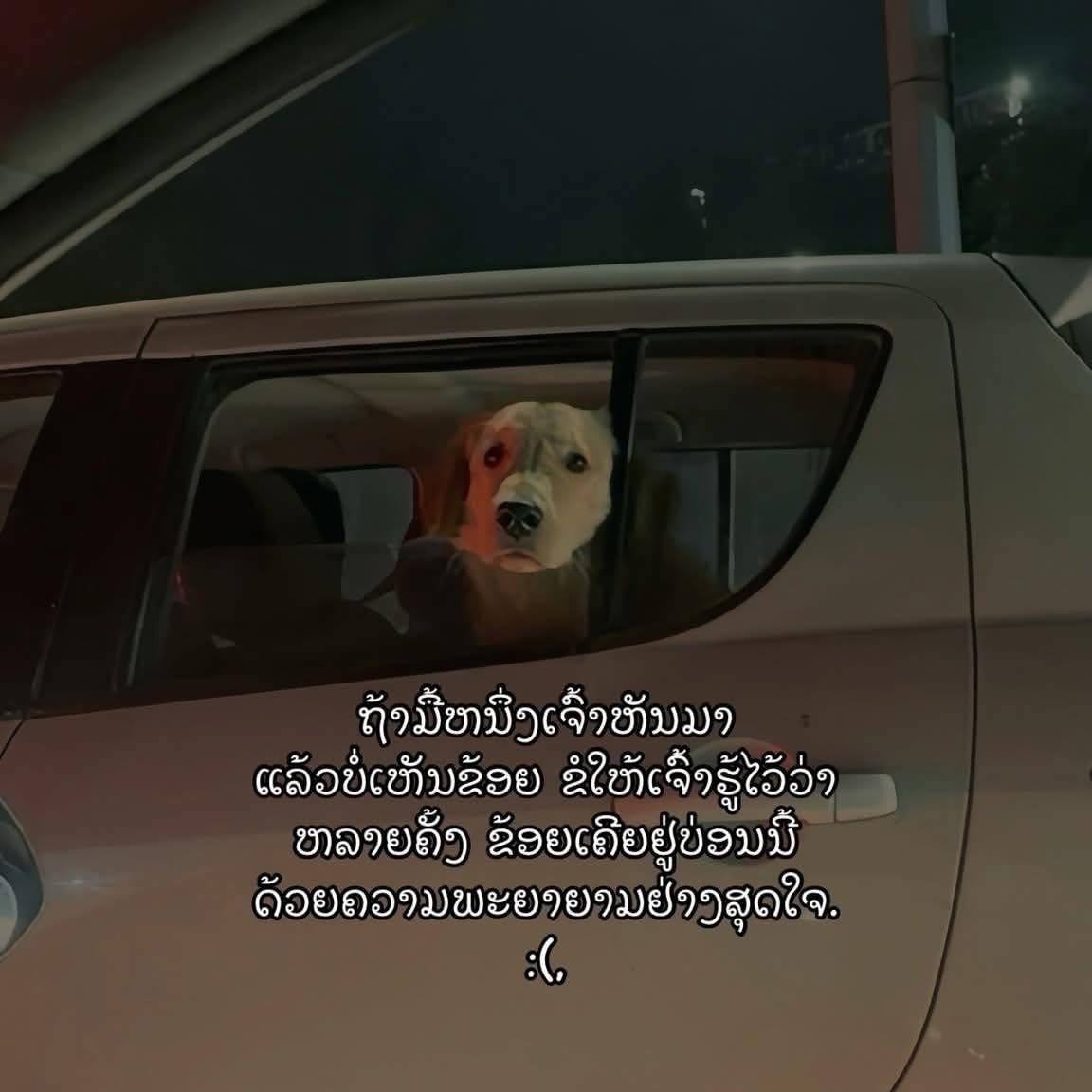 Sedly - ; แท็กแฟน, 🤍 ️ | Facebook