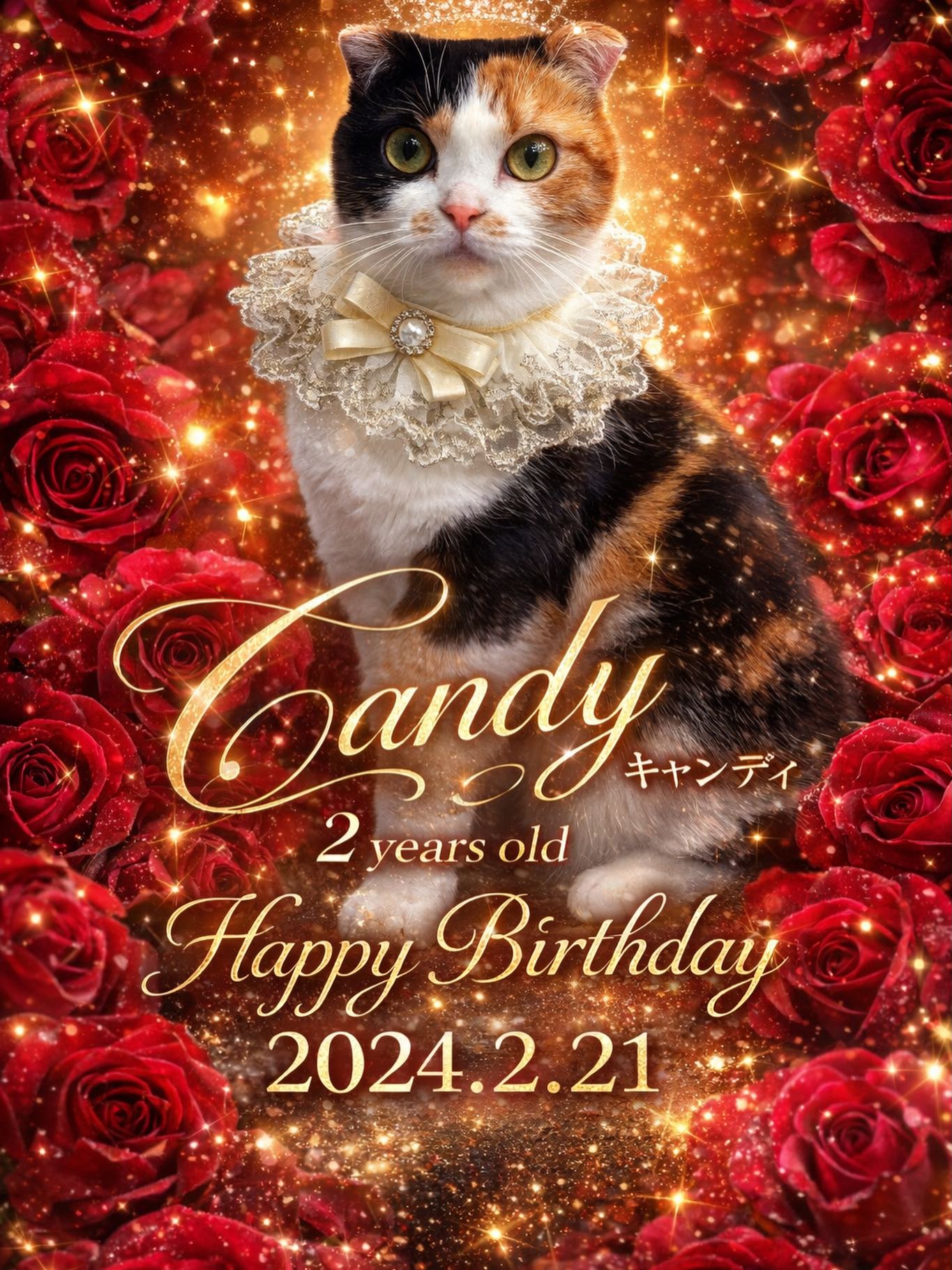 Cat Café MOFF イーアス沖縄豊崎店 | Tomigusuku-shi Okinawa