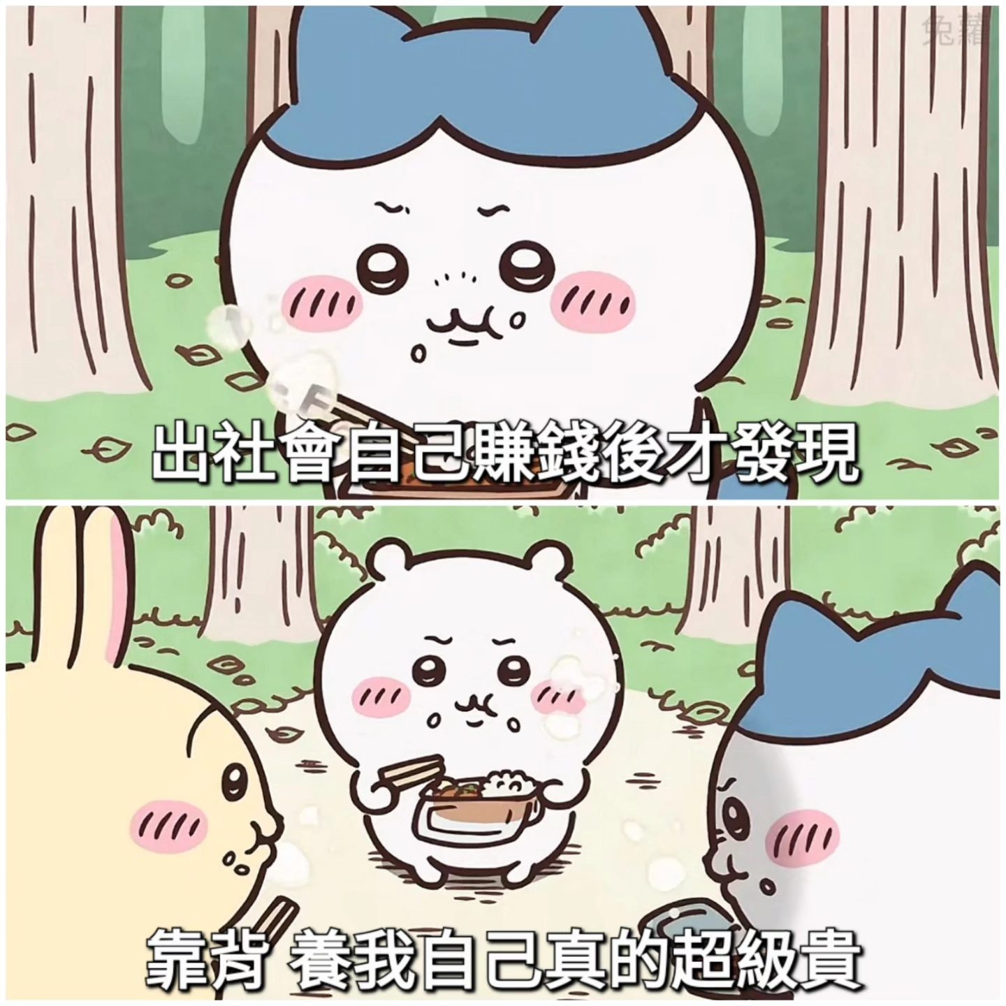 Rabbits - 別說小孩了 我連自己都快養不起 #吉伊卡哇 #梗圖 #語錄 #搞笑 #memes | Facebook