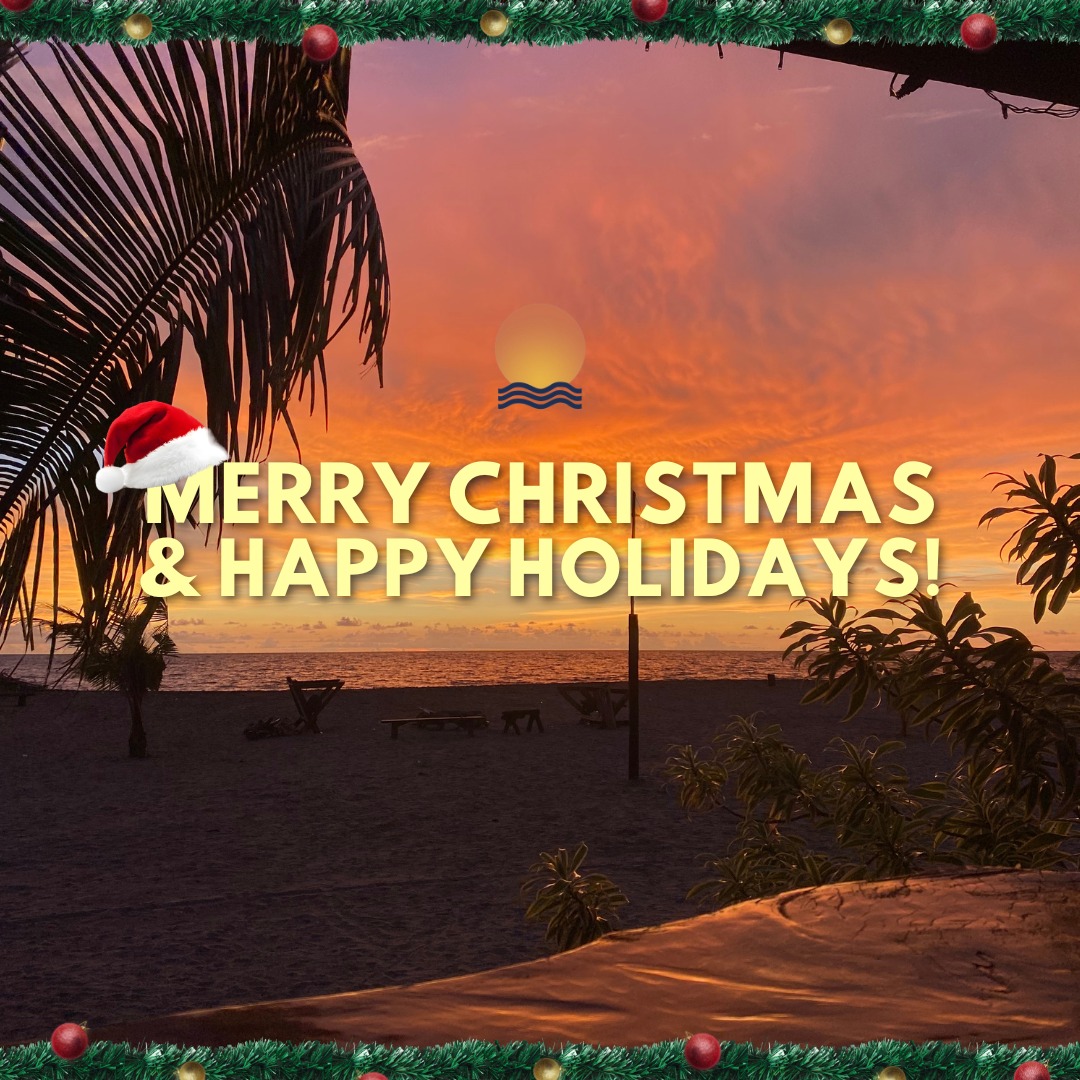 Solarena - Wishing you a Merry Christmas and happy holidays from all of ...