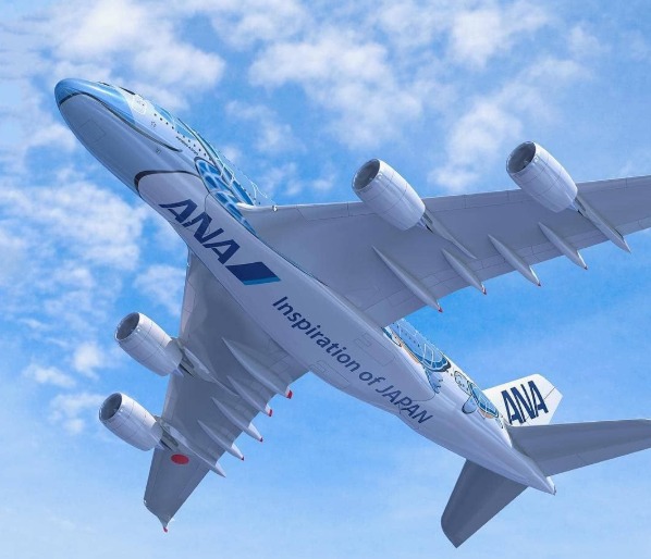 Japan's first Airbus A380 ''FLYING HONU'' has been unveiled! This