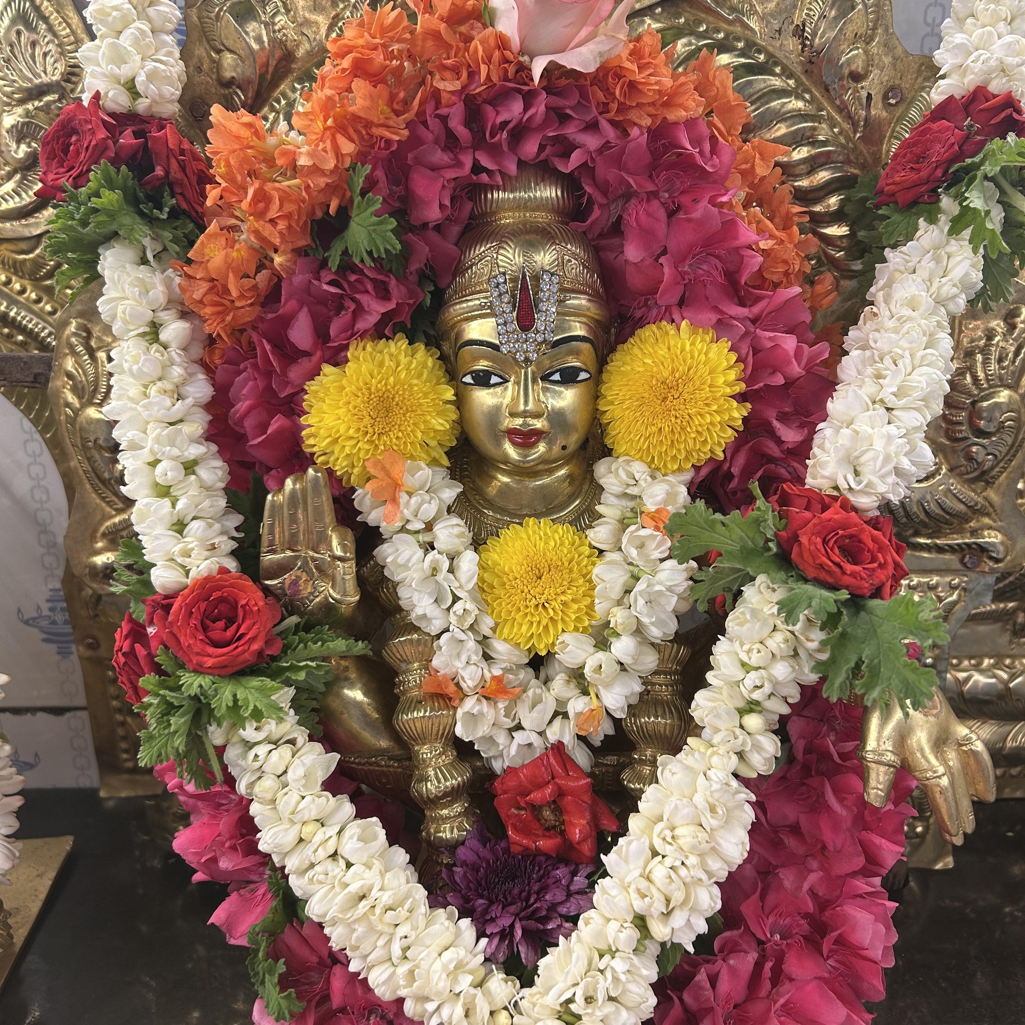 Parisha Manikantan Gowda Arp