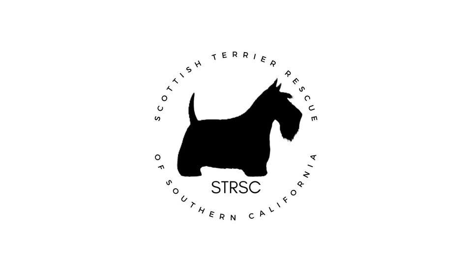 Scottish Terrier Rescue of Southern California