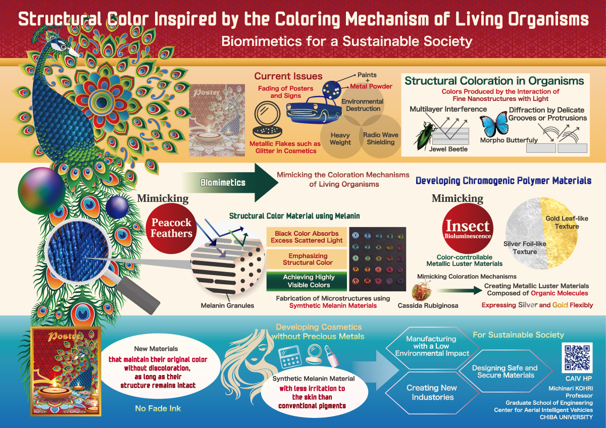 Chiba - 【#InfoGraphic】 Structural Color Inspired by the Coloring ...