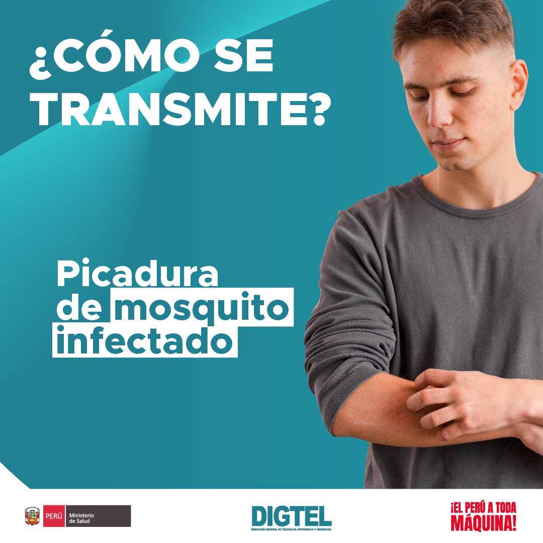 Digtel | Jesús Maria
