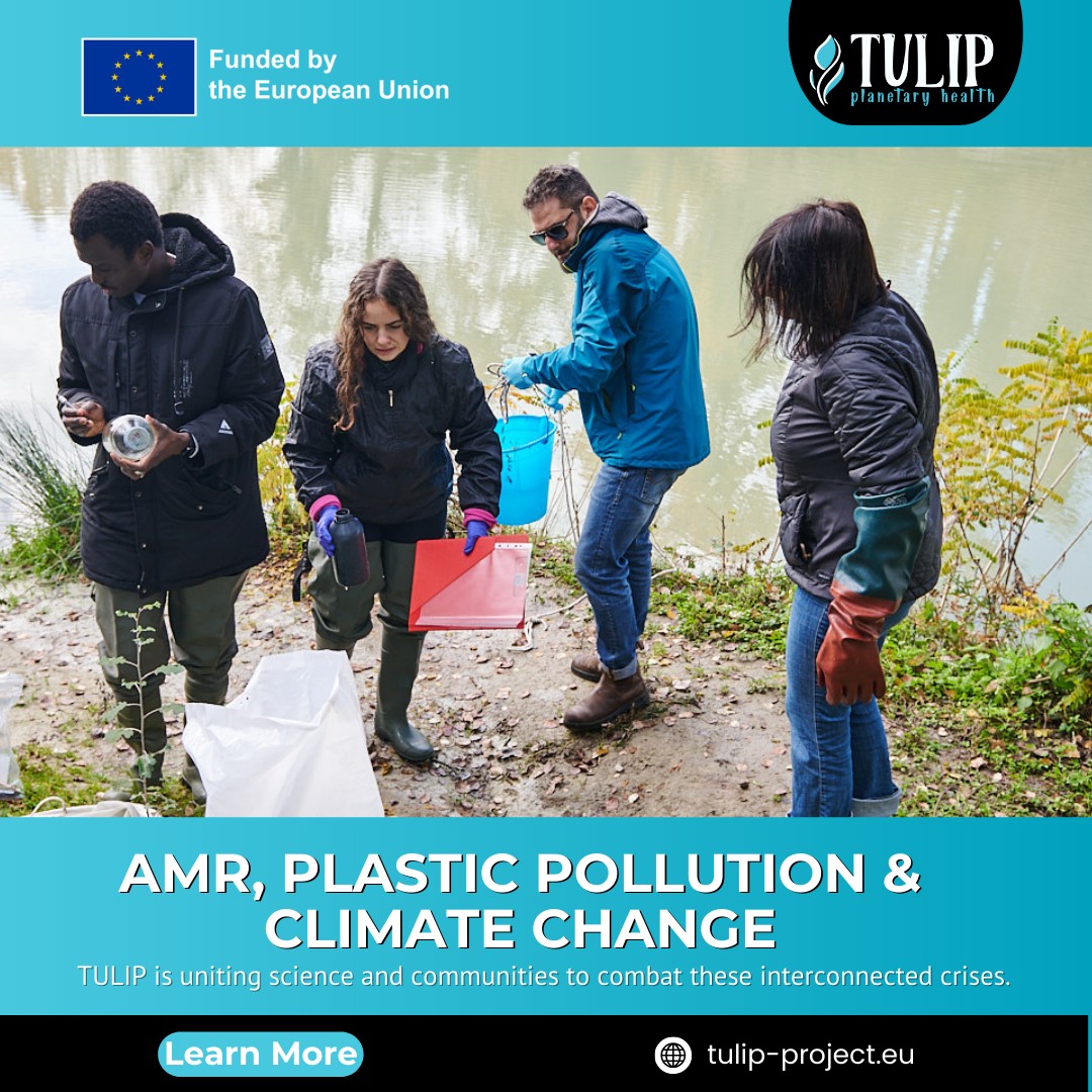 Tulip - Our dedicated team in Rome is taking action against plastic ...