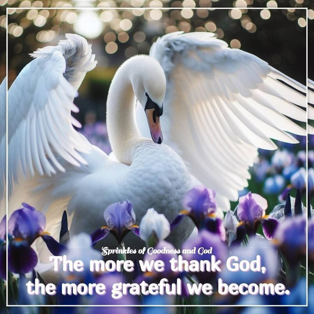 Sprinkles - The more we thank God, the more grateful we become. 💜 ...