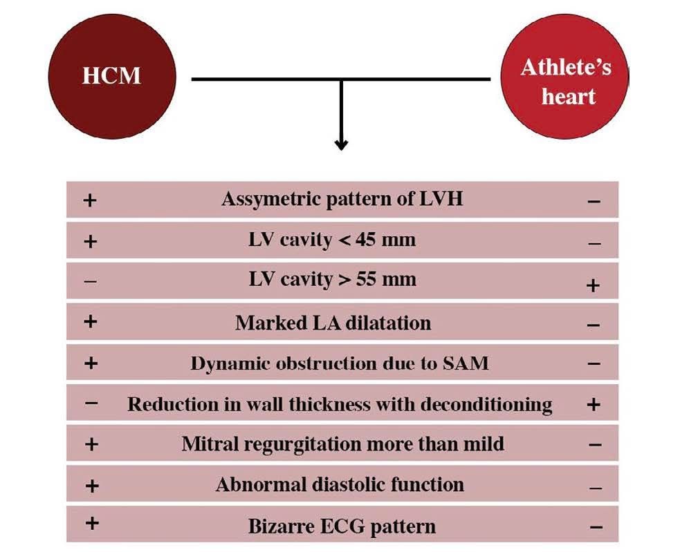Updates - 🔵 #Maron’s criteria to distinguish HCM from athlete’s heart ...