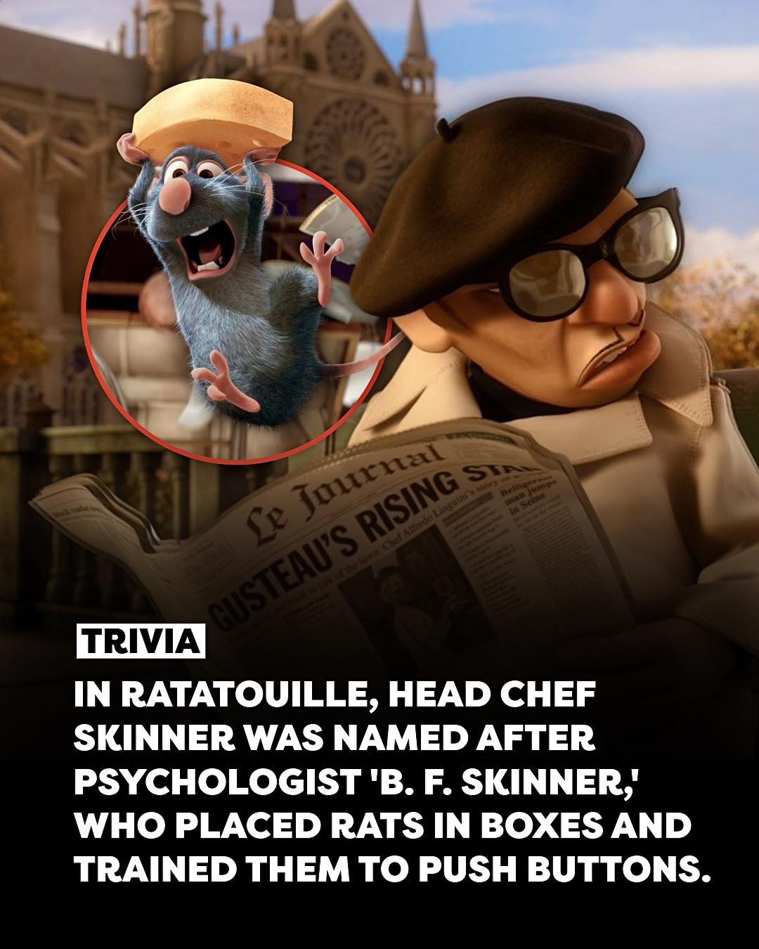 MOVIE TRIVIA🍿 In Ratatouille,... - Daily Dose of Curiosity | Facebook