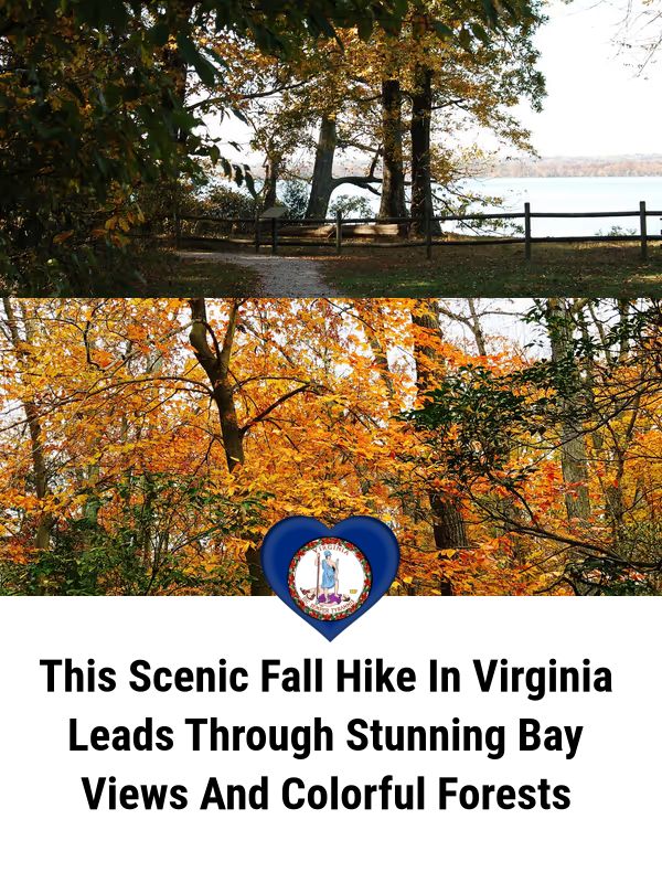 I Love - This Scenic Fall Hike In Virginia Leads Through Stunning Bay ...