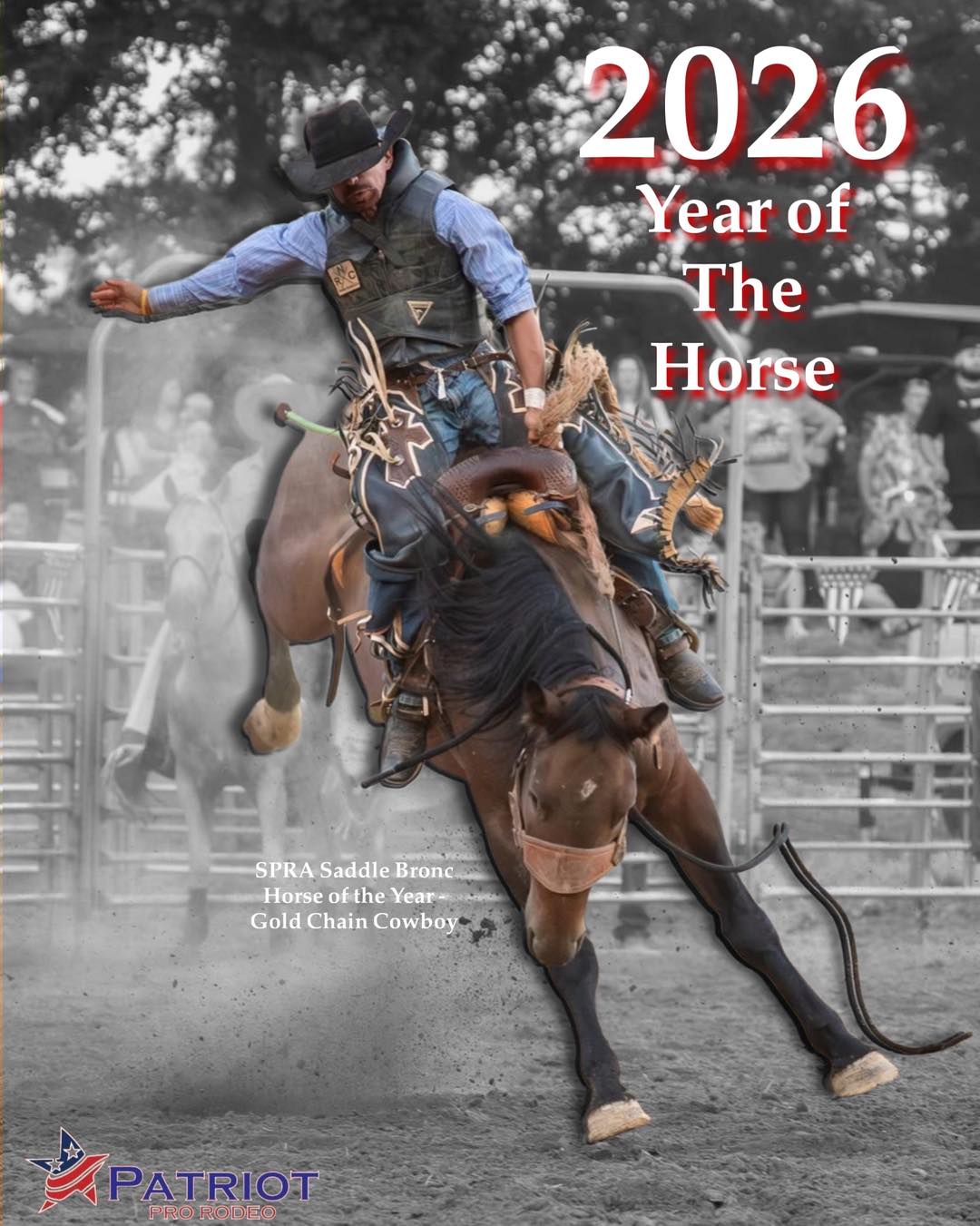 Patriot - 2026 is the year of the horse… let’s just hope it’s a Patriot ...