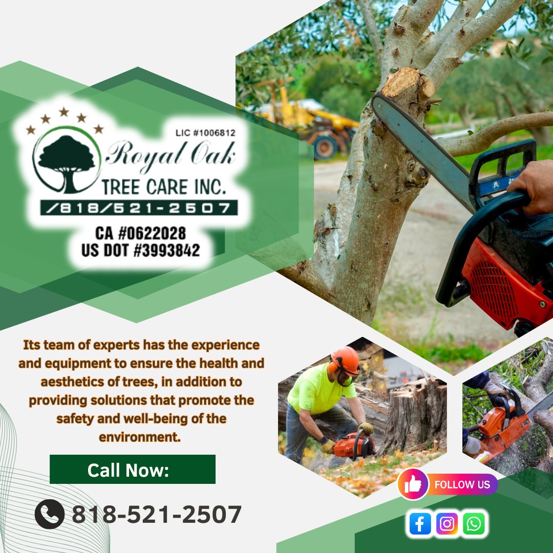 Royal Oak Tree Care Inc