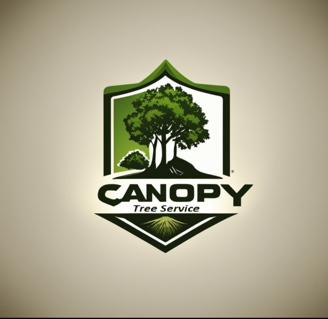 Canopy - Breathe new life into your yard this year! 🍃 Count on Canopy ...