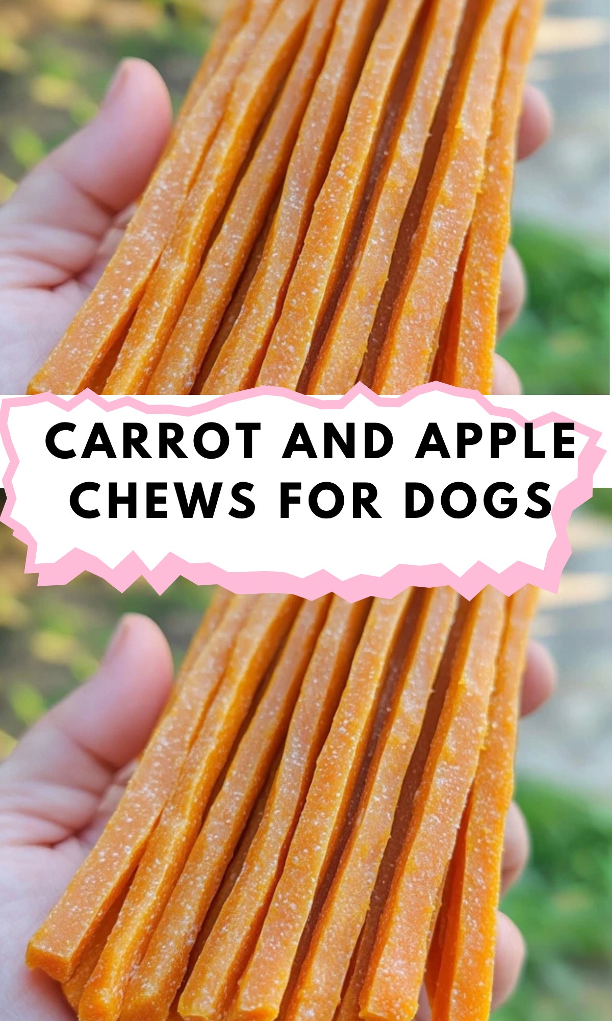 Thumbnail for Can Dogs Have Cored Apple Chews
