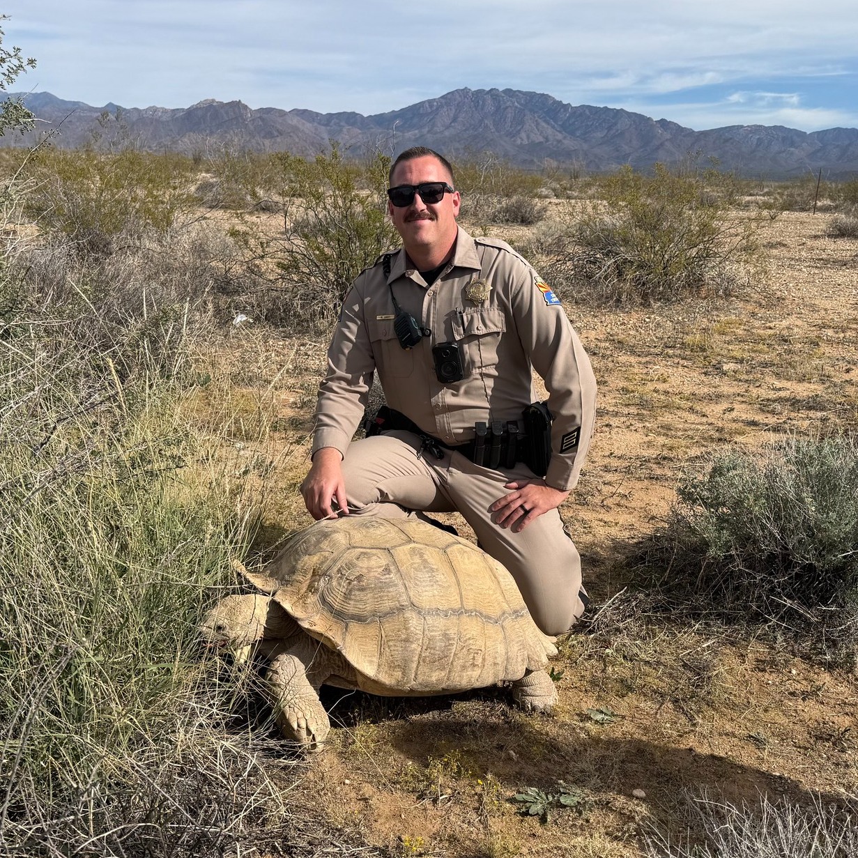 AZDPS - Are we tortoise-y enough for the tortoise club? 🐢 YUCCA, AZ ...