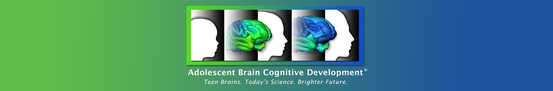 The ABCD Study