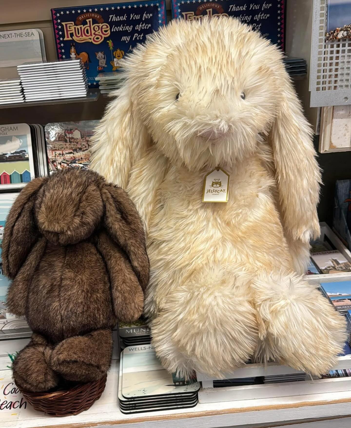 New Jellies!👀 Jellycat Springlowe Luxe Bunny 🐰实物图分享 （Not