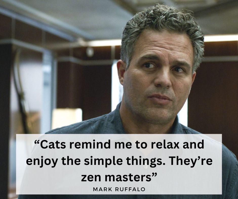 Cat Overlords - Mark Ruffalo knows why we love cats so much | Facebook