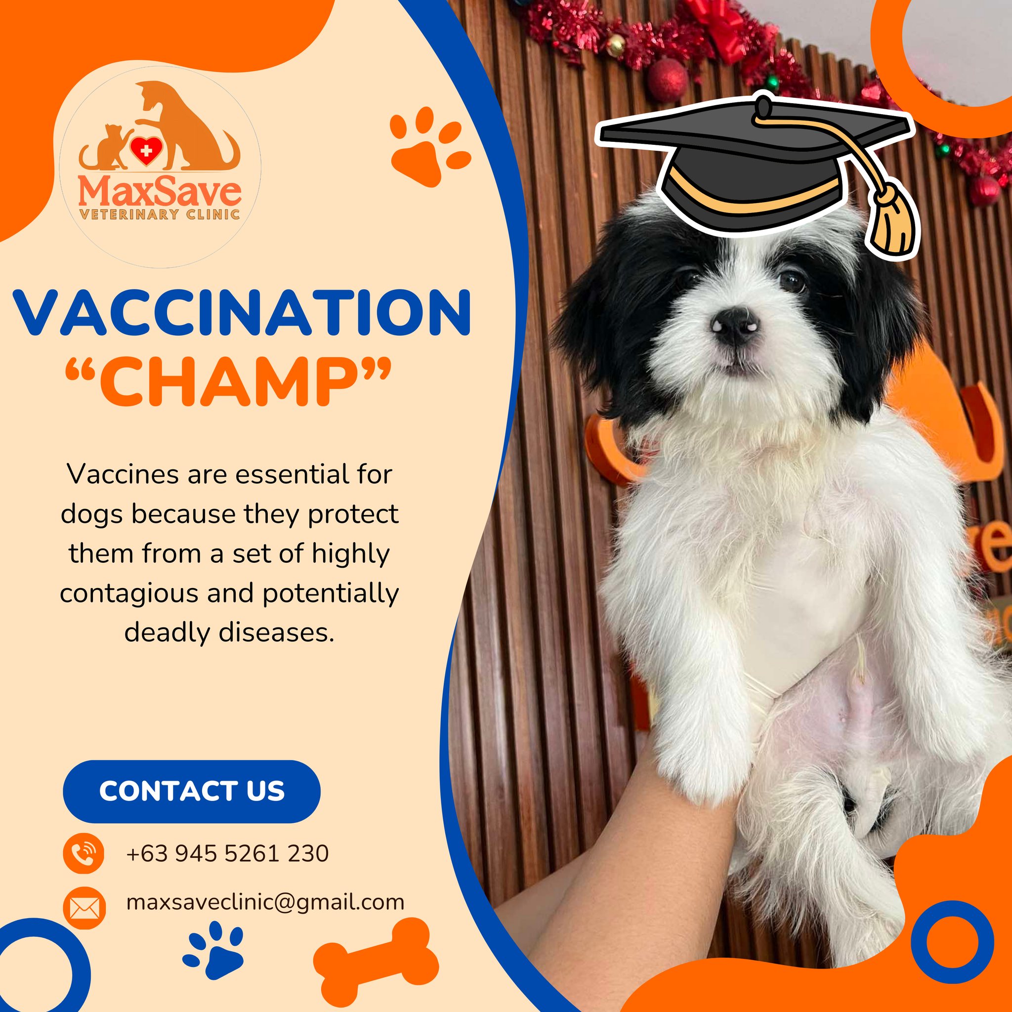 MaxSave Vet Clinic | Mabalacat