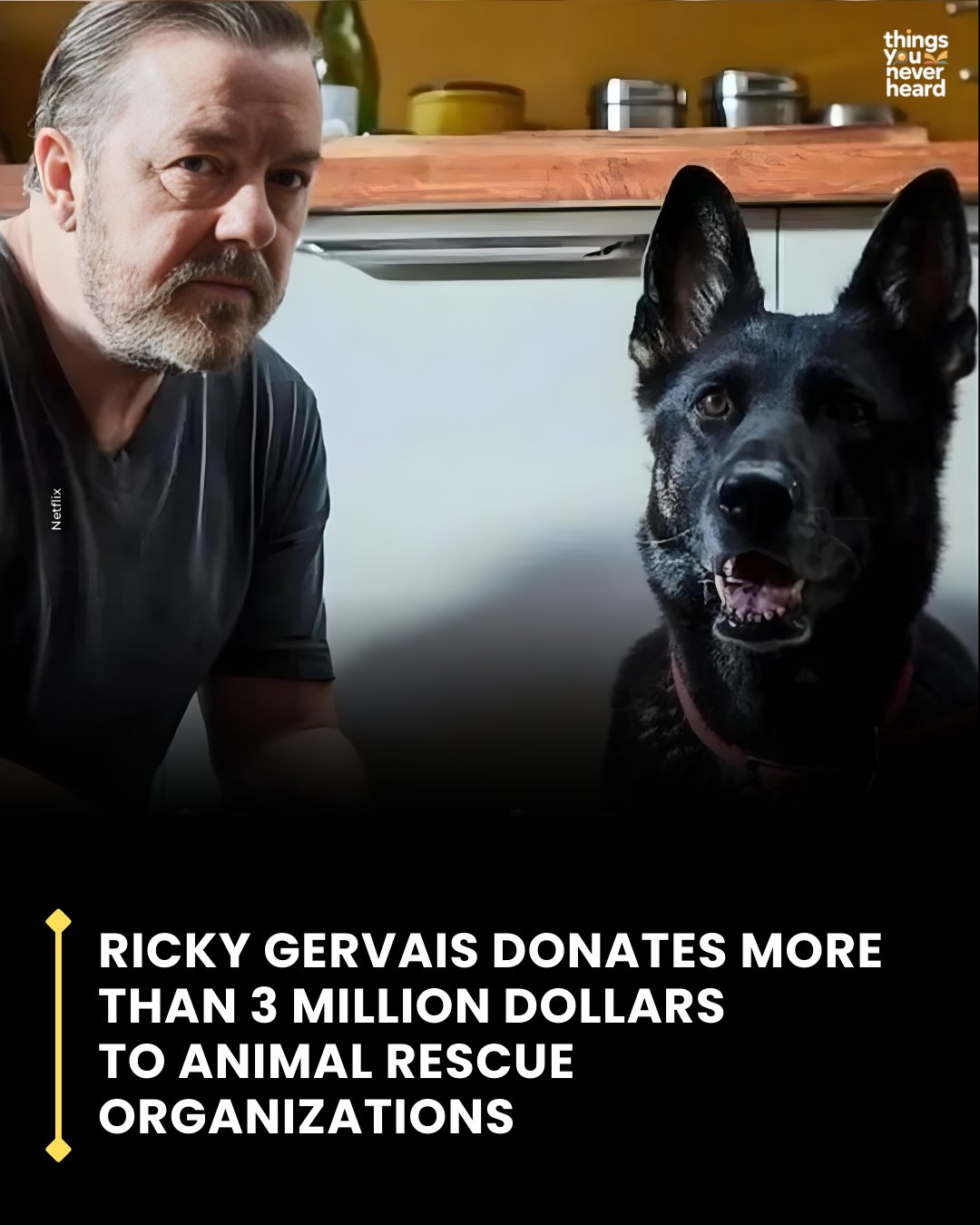 pustyn - British actor and comedian Ricky Gervais has donated nearly 3. ...