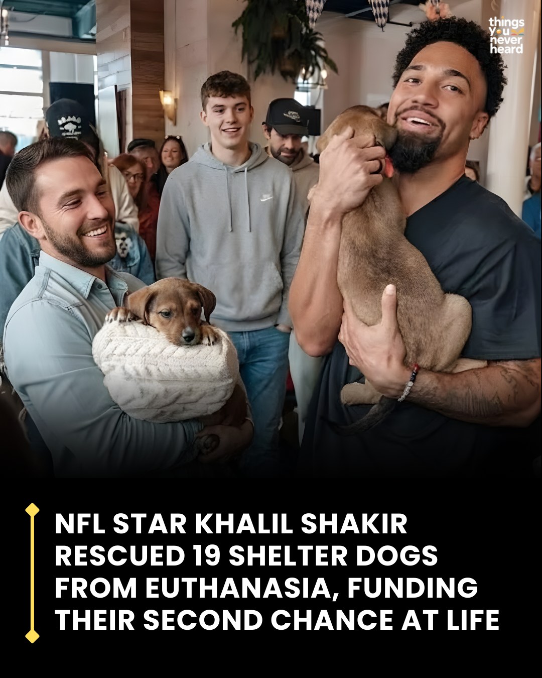 Things - When an overcrowded local shelter prepared to euthanize ...