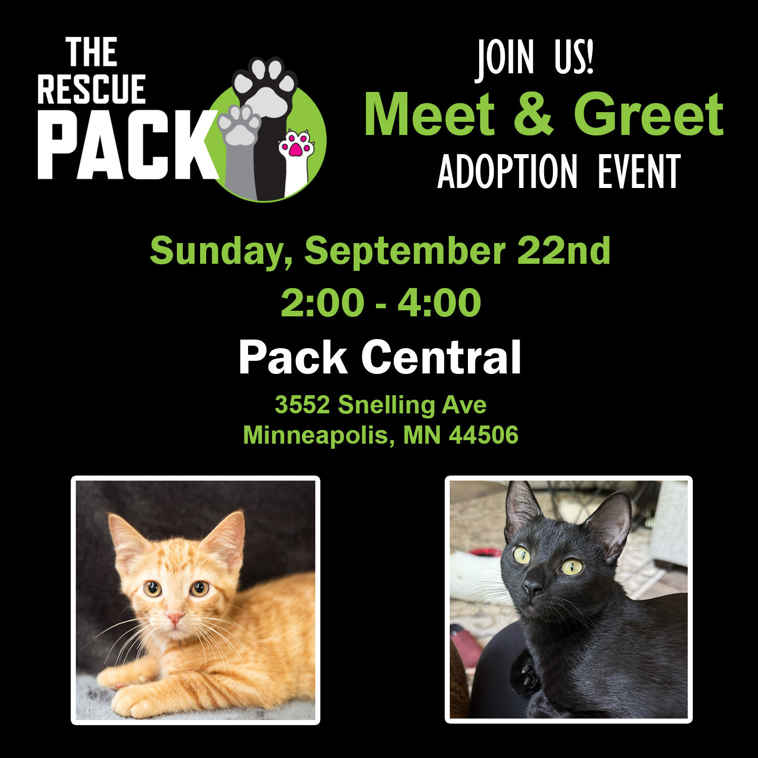 The Rescue Pack - It's time to meet some kitties! There...