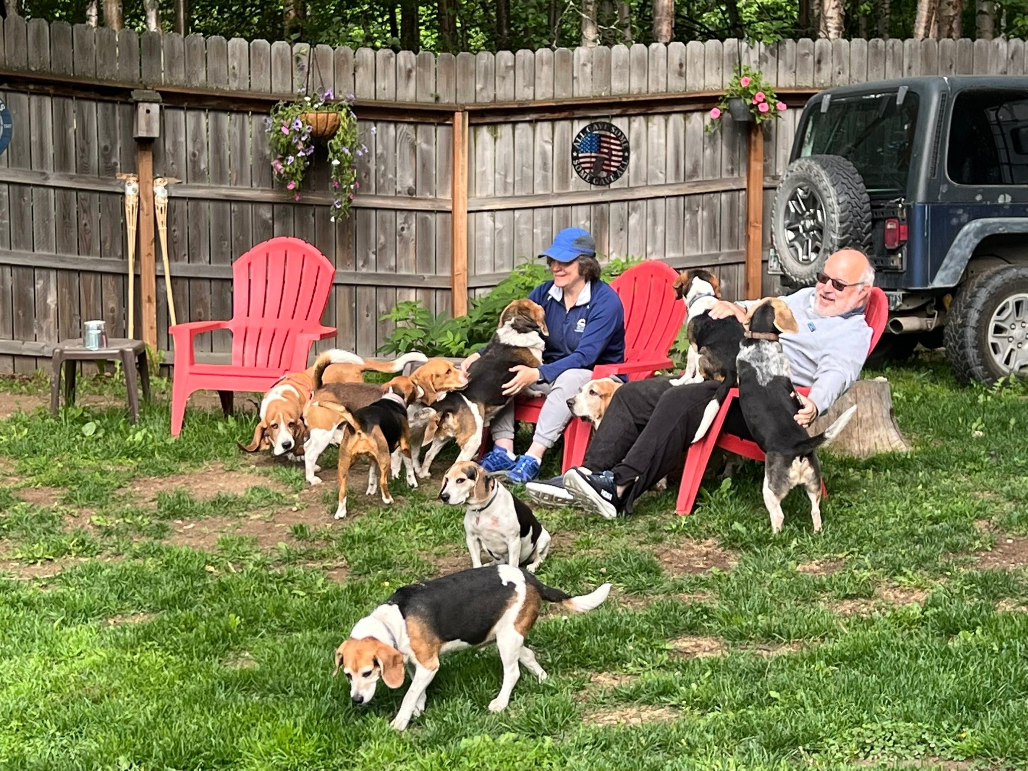 Alaska Beagle Ranch added a new photo. - Alaska Beagle Ranch