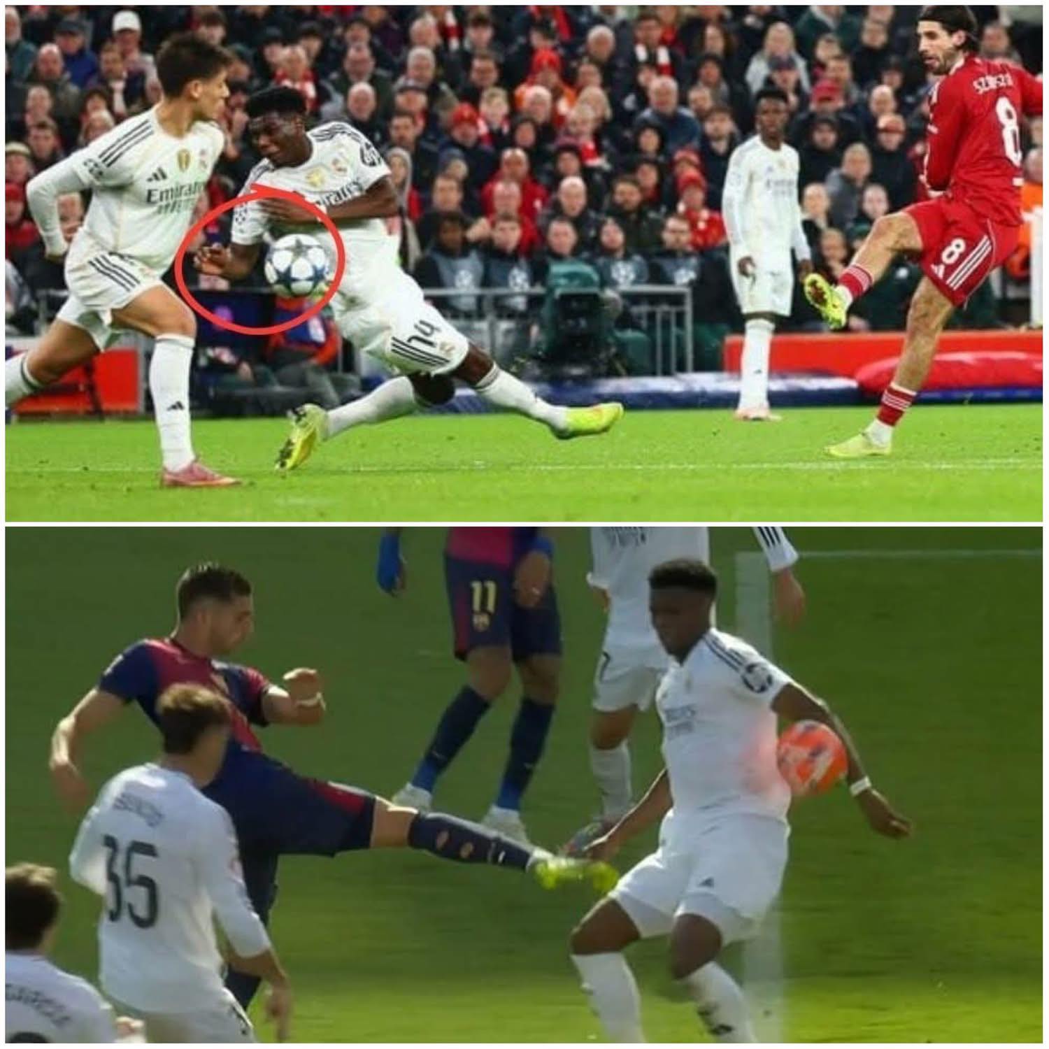 Bitshok show against bernardo