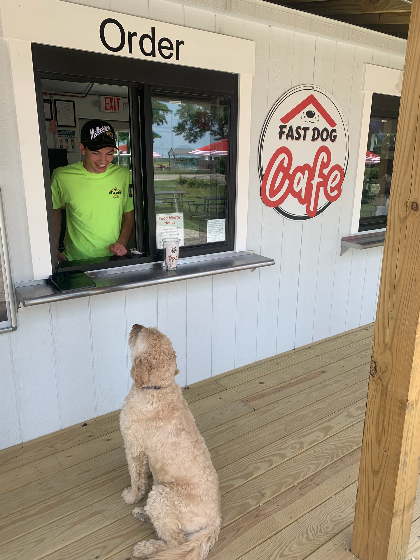 Fast Dog Cafe | Sutton MA