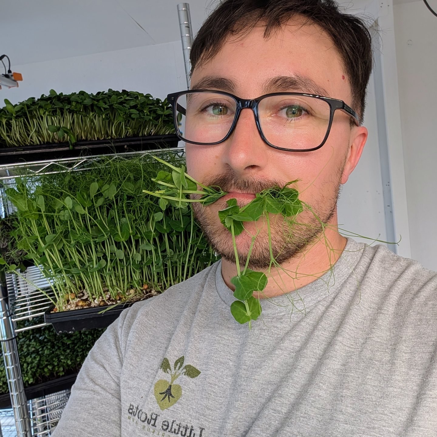 Little Roots Farm - Microgreens Hobart | Acton Park TAS