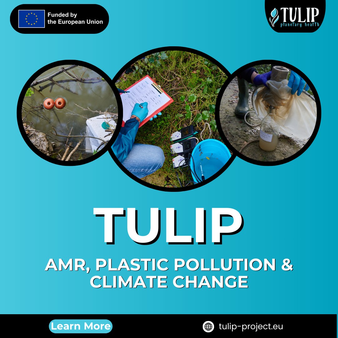 Tulip planetary health - Our dedicated team in Rome is taking action ...