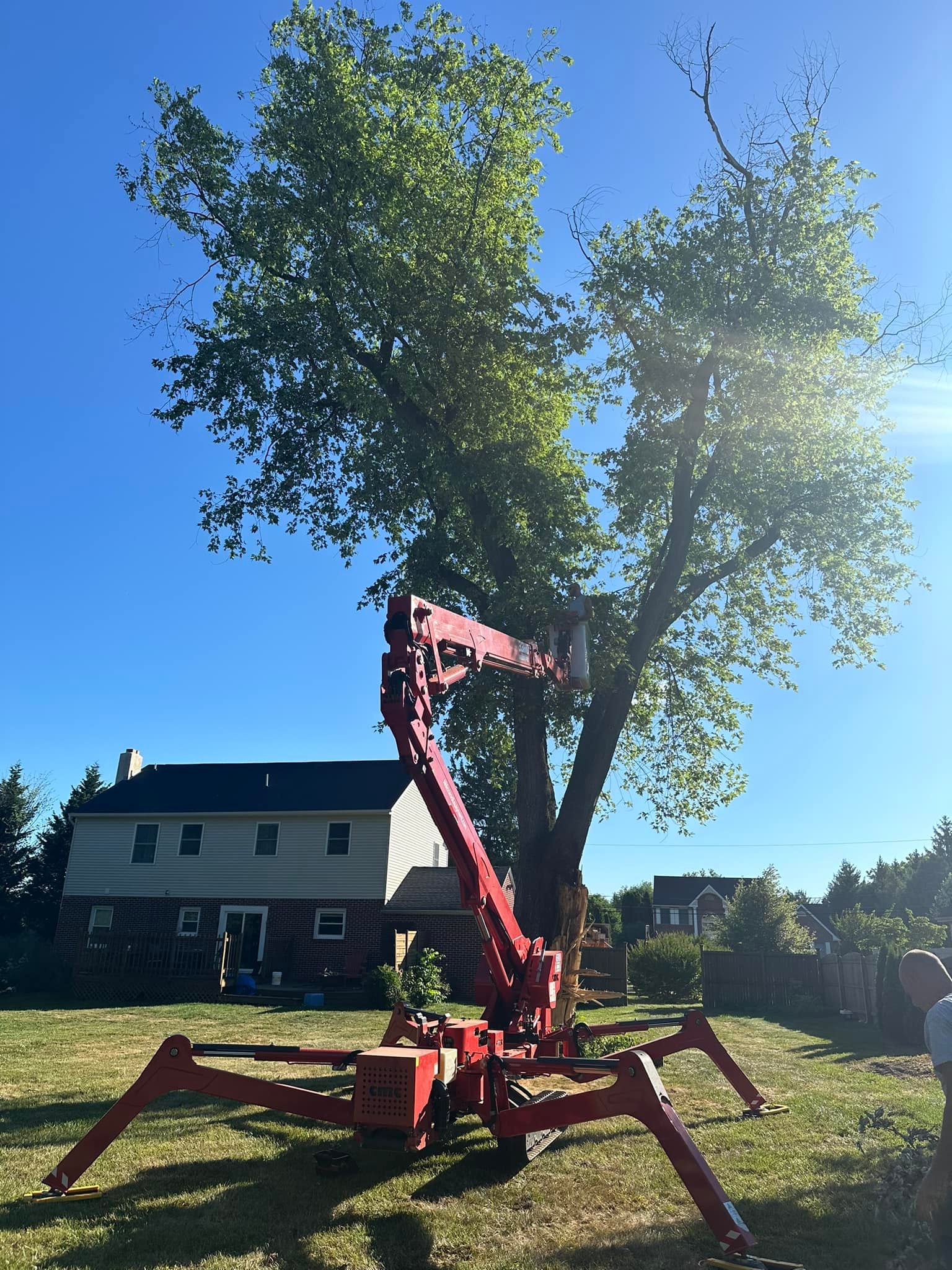 Matos Tree Service | Eagleville PA