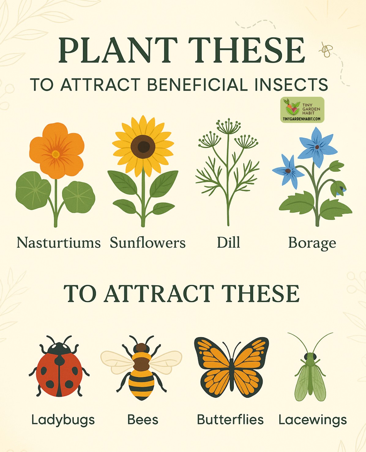 Tiny - 🌼 Borage and dill help bring in bees, butterflies, and helpful ...