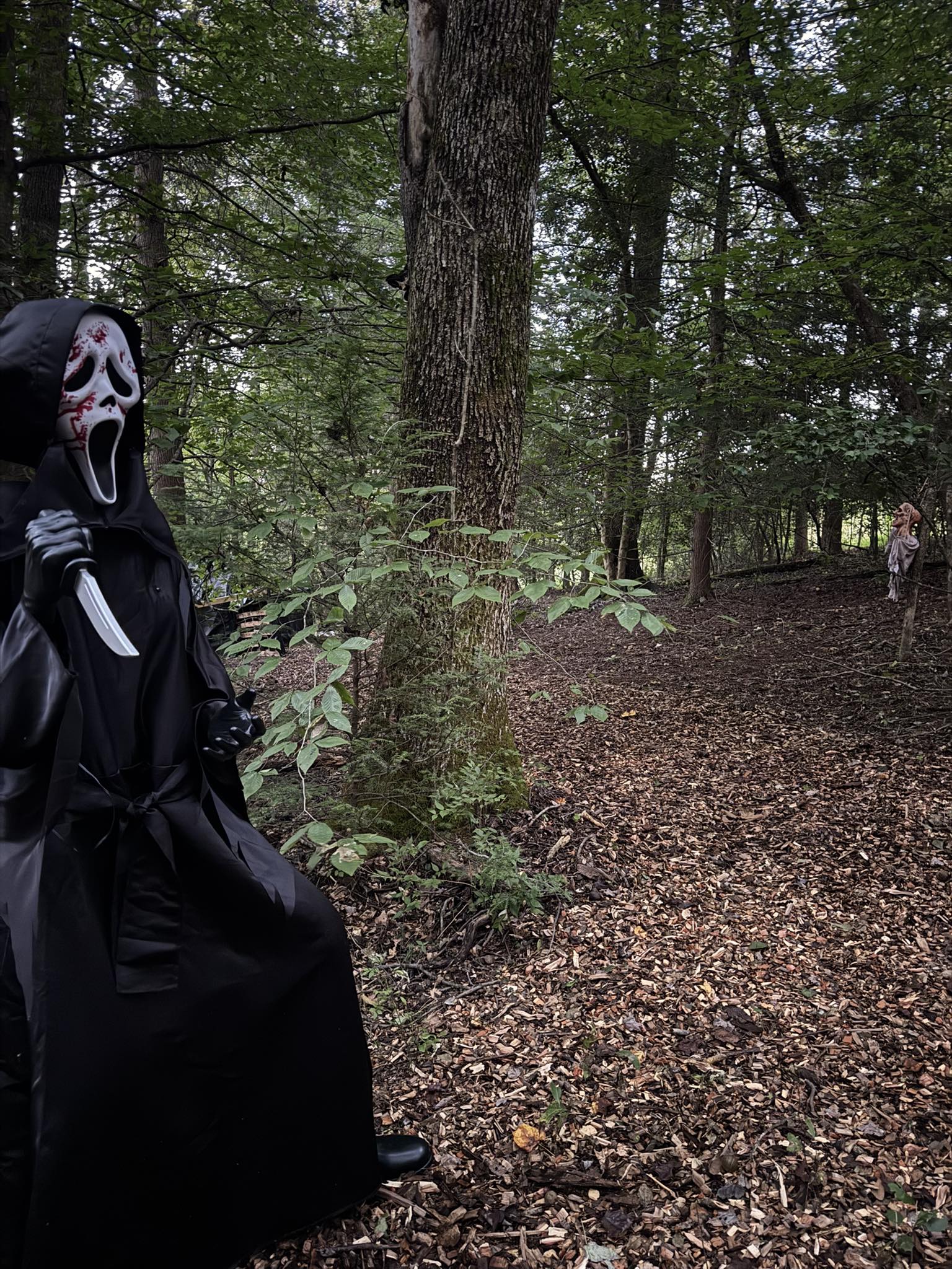 Nightmare Forest haunted house in Kentucky