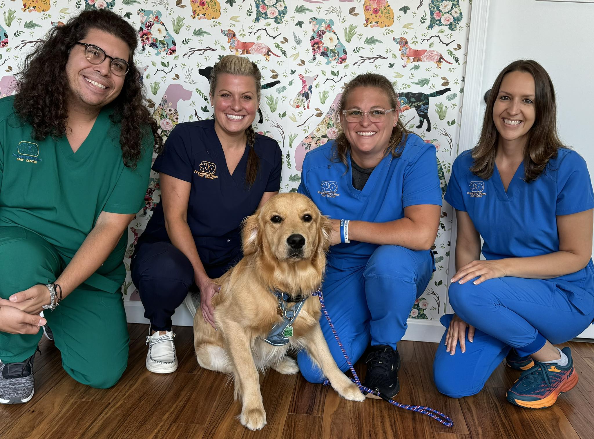 Preventive Paws Spay Center | Mount Arlington NJ