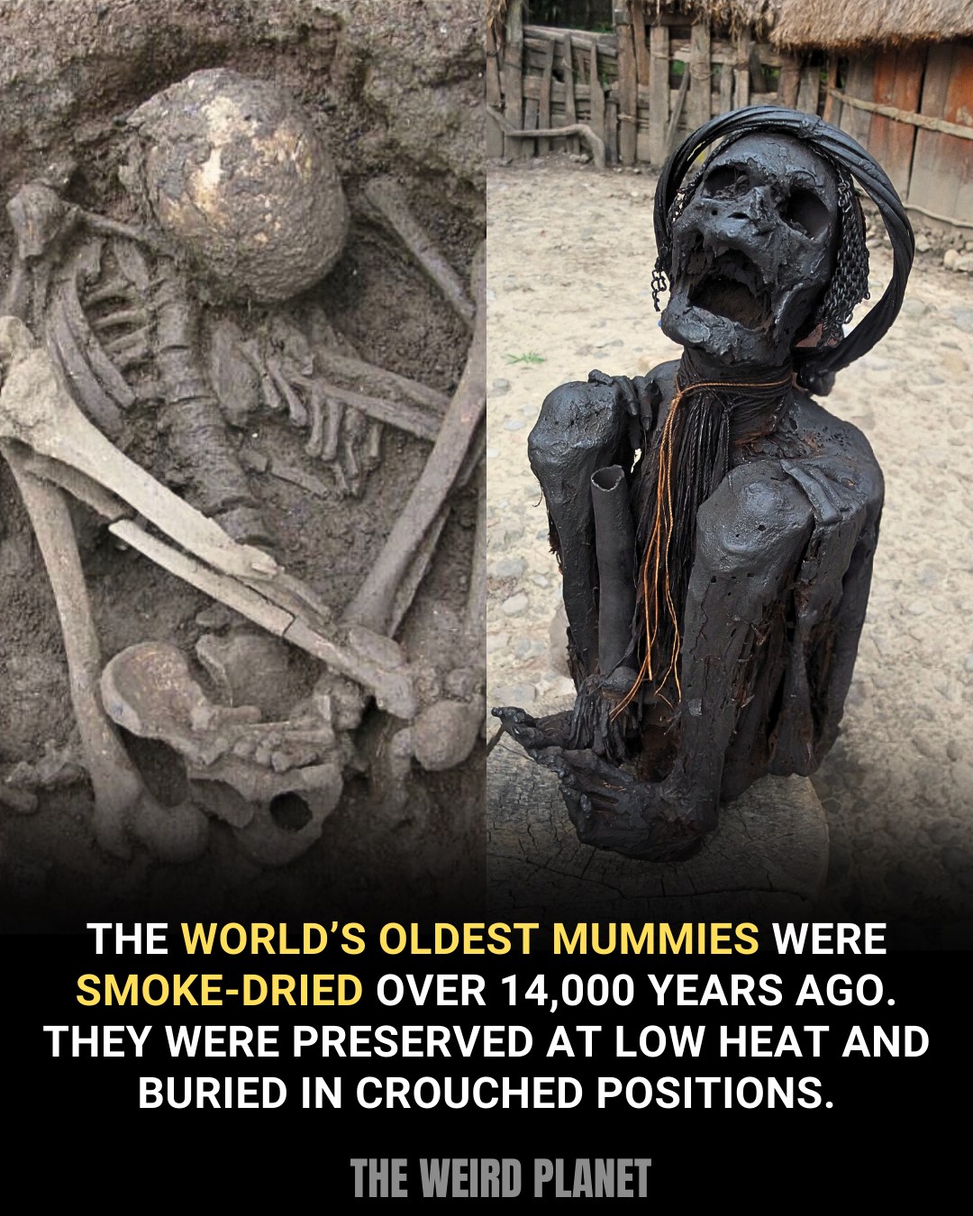 ボーン For at least 10,000 years, humans across South-East Asia were