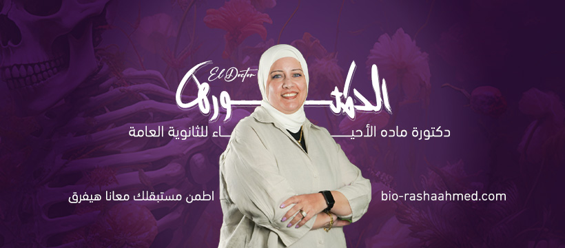 د.رشا أحمد Dr.Rasha Ahmed