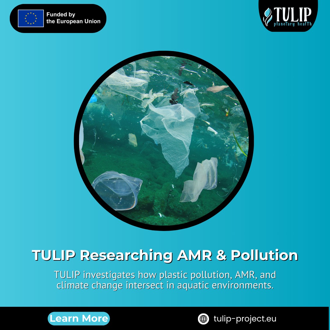 Tulip - TULIP investigates how plastic pollution, AMR, and climate ...