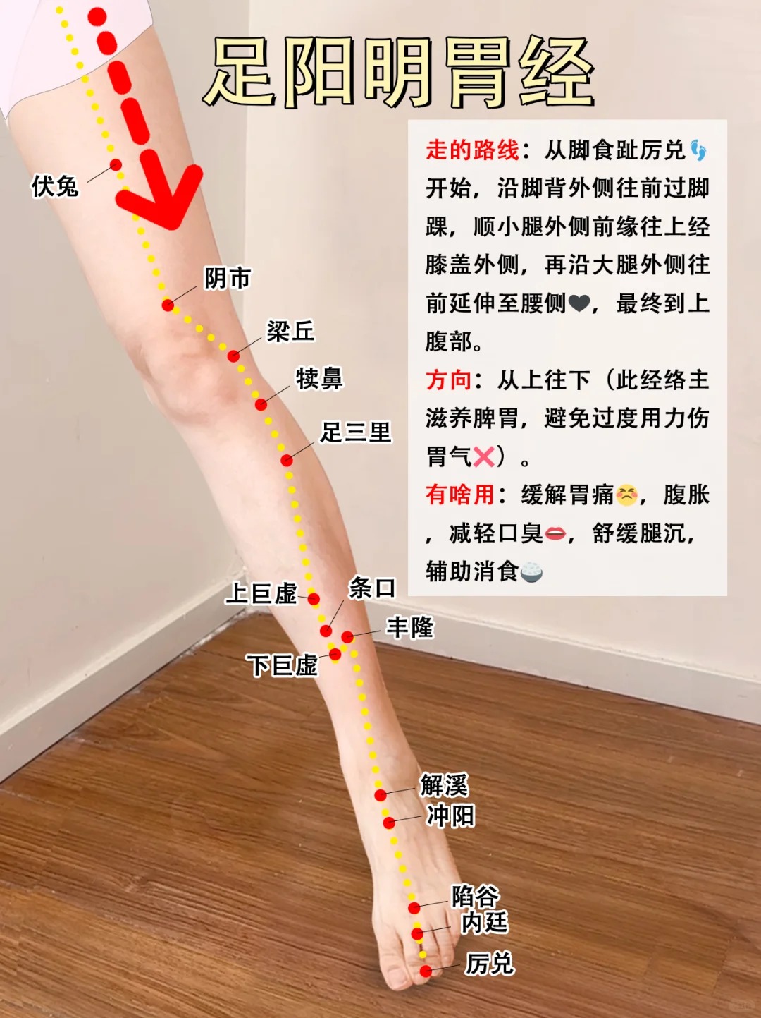 養生手冊 | 腿部 6 條經絡簡單記法 | Facebook