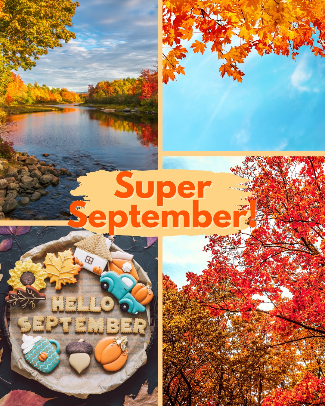 🌟🍂 Super September is here! 🍂🌟 From... - Children's Links | Facebook