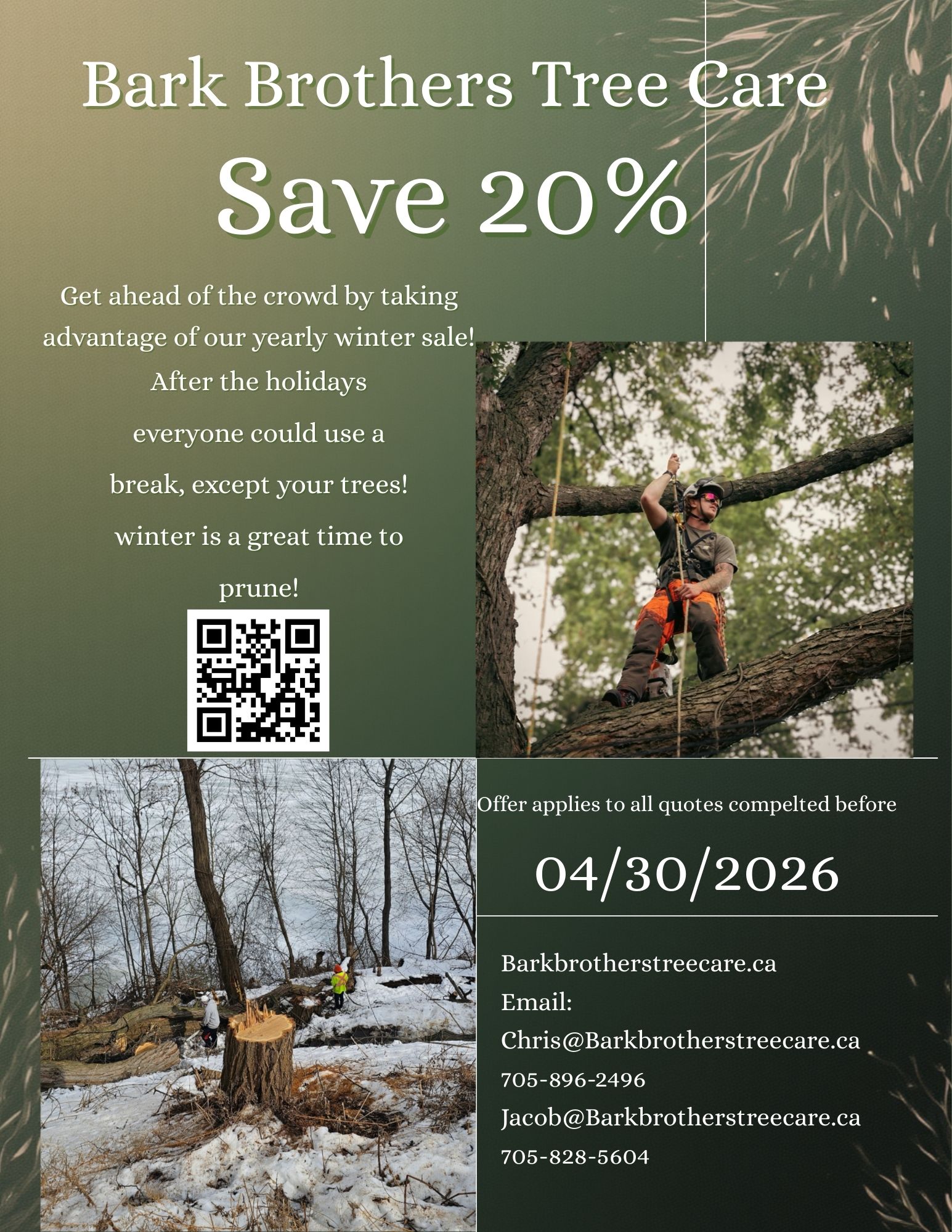 🌲 Winter Tree Care Sale —... - Bark Brothers Tree Care Inc | Facebook